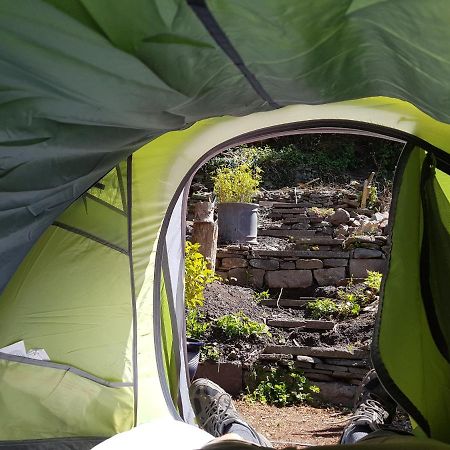'Yellow Wood Micro Hostel-Eco Urban Bothy Style Very Basic But Cosy Redecorating But Cheap & Friendly Quiet Time Lockout 11Pm-7Am Bring Towel Or Hire Brecon Exterior foto