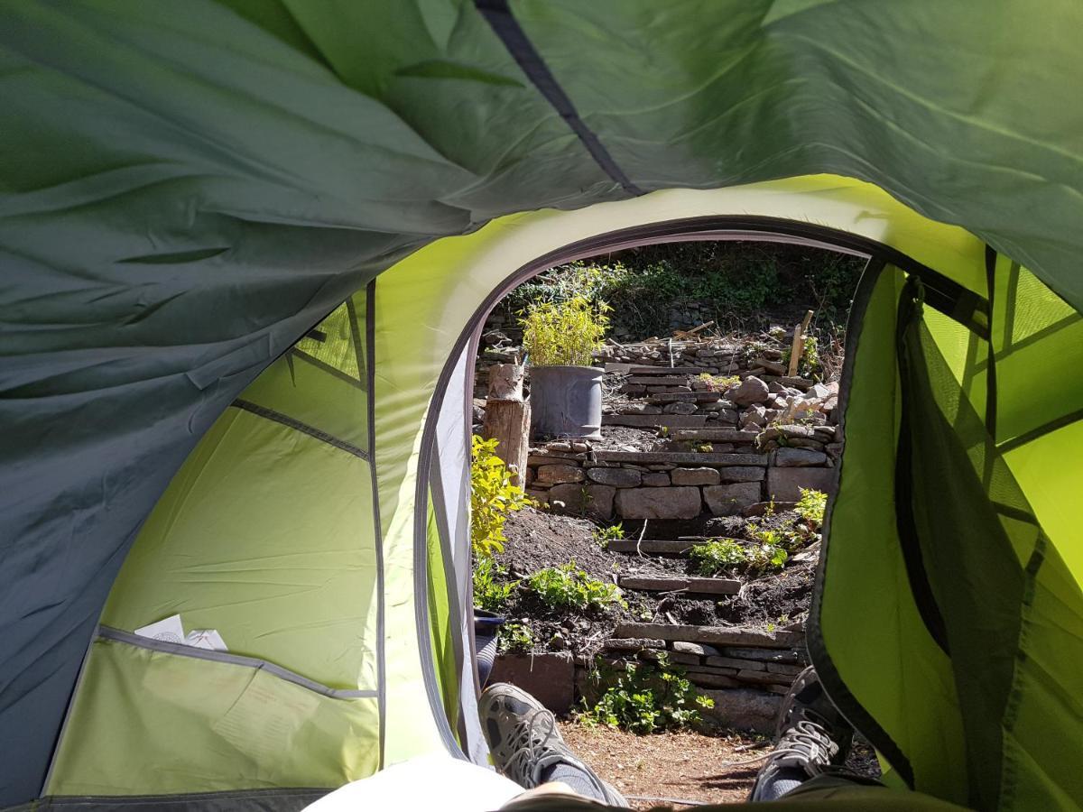 'Yellow Wood Micro Hostel-Eco Urban Bothy Style Very Basic But Cosy Redecorating But Cheap & Friendly Quiet Time Lockout 11Pm-7Am Bring Towel Or Hire Brecon Exterior foto